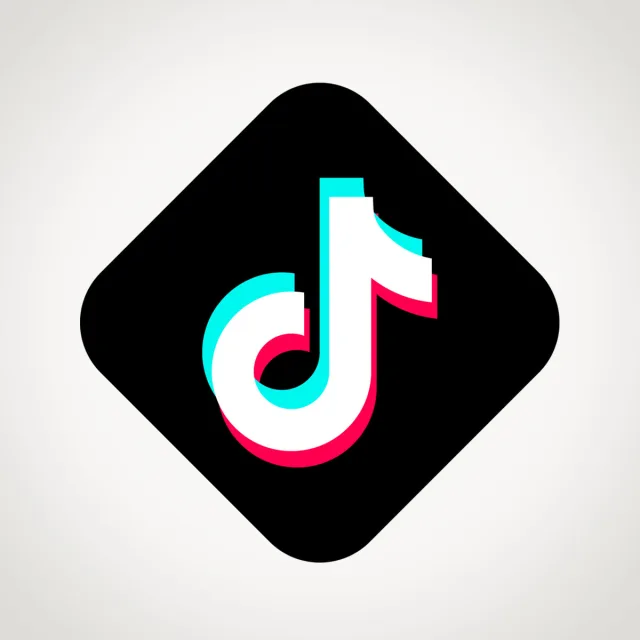 Metricfixer TikTok Ads Support